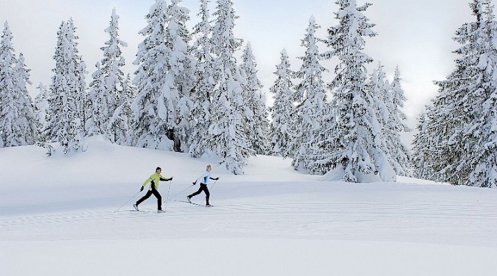 Langlauf in Hochfilzen